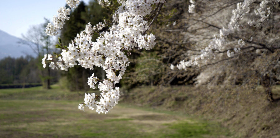 2019年の予約開始