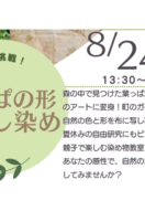 8/24 限定イベント【森で挑戦！葉っぱ🌿の形うつし染め】