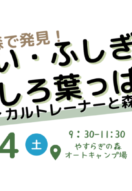 8/24 限定イベント【はっぱ🍃をテーマに森を探索！】