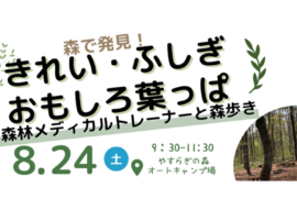 8/24 限定イベント【はっぱ🍃をテーマに森を探索！】