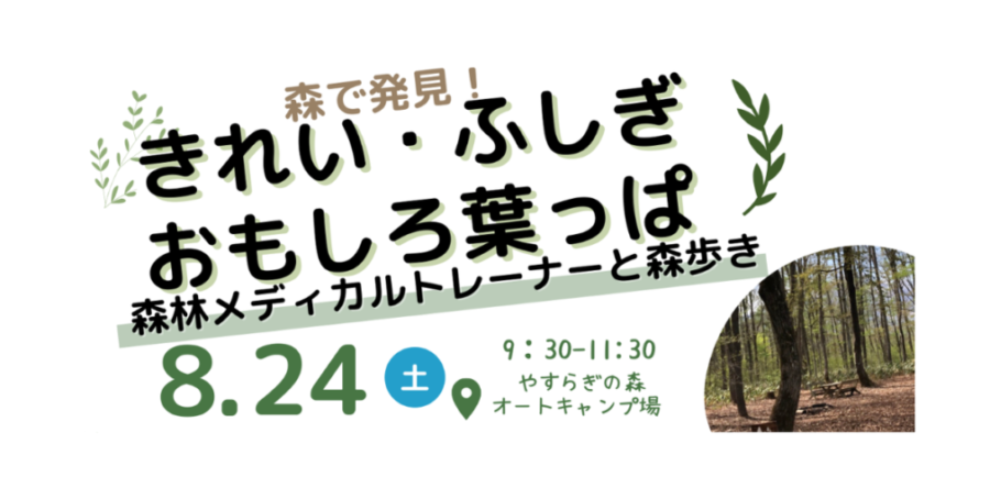 8/24 限定イベント【はっぱ🍃をテーマに森を探索！】