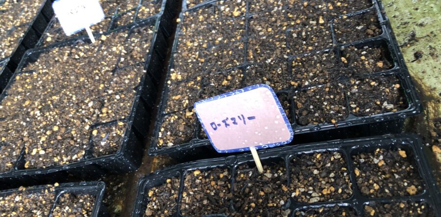 〜ハーブガーデン制作日記1🌿〜