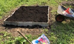 〜ハーブガーデン制作日記3🌿〜