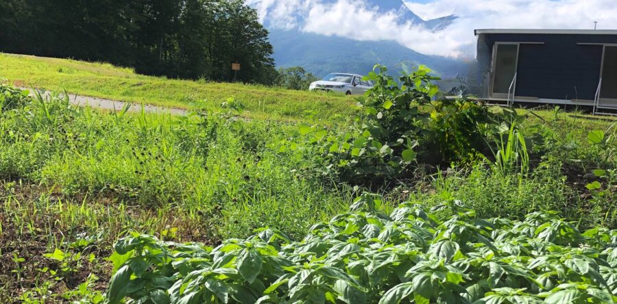 〜ハーブガーデン制作日記5🌿〜
