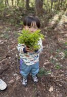 【季節の便り】山菜パラダイスの春！妙高山と花々に包まれる、やすらぎの森