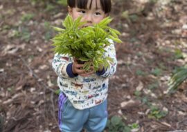 【季節の便り】山菜パラダイスの春！妙高山と花々に包まれる、やすらぎの森